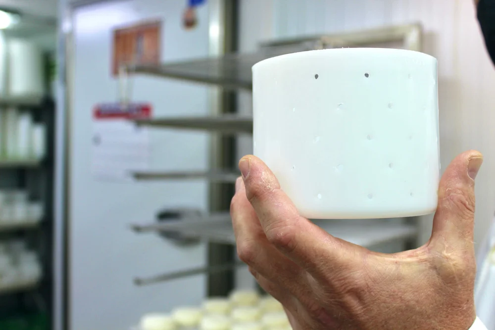 Goat cheese mold.jpg